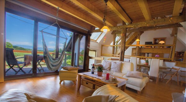 Smart TV, fireplace, video-game console, DVD player
