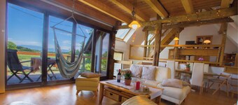 Holiday home fireplace & air conditioning 160 sqm, 3 bedrooms, 12 persons near Strasbourg/Europapark