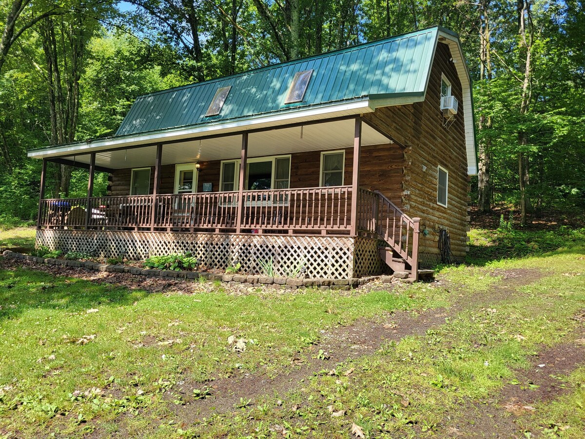 Imagen de perfil del propietario o de la propietaria