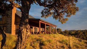 A modern house with a large tree in the foreground, a covered porch, and a hillside setting.