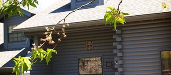 Woods Edge Cabin 2 - INGEN RENGJØRINGSBETALING !! -Flott beliggenhet-