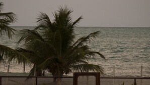 A pathway leading to a beach with a palm tree and a fence. - Manga Verde Beach 03: Pool and Beach view H (Pilar)