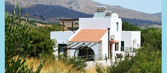 Villa Afou - Afrata - Piscine privée