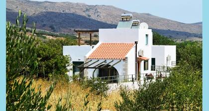 Villa Afou - Afrata - Piscine privée