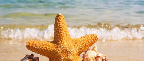 Sun-loungers, beach towels