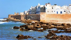 A coastal town with white buildings, rocky shoreline, and sea birds. - Nice apartment in Essaouira 4267 (Essaouira)