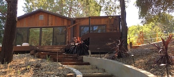 🌻🌻🌻 Fantastic Guest House