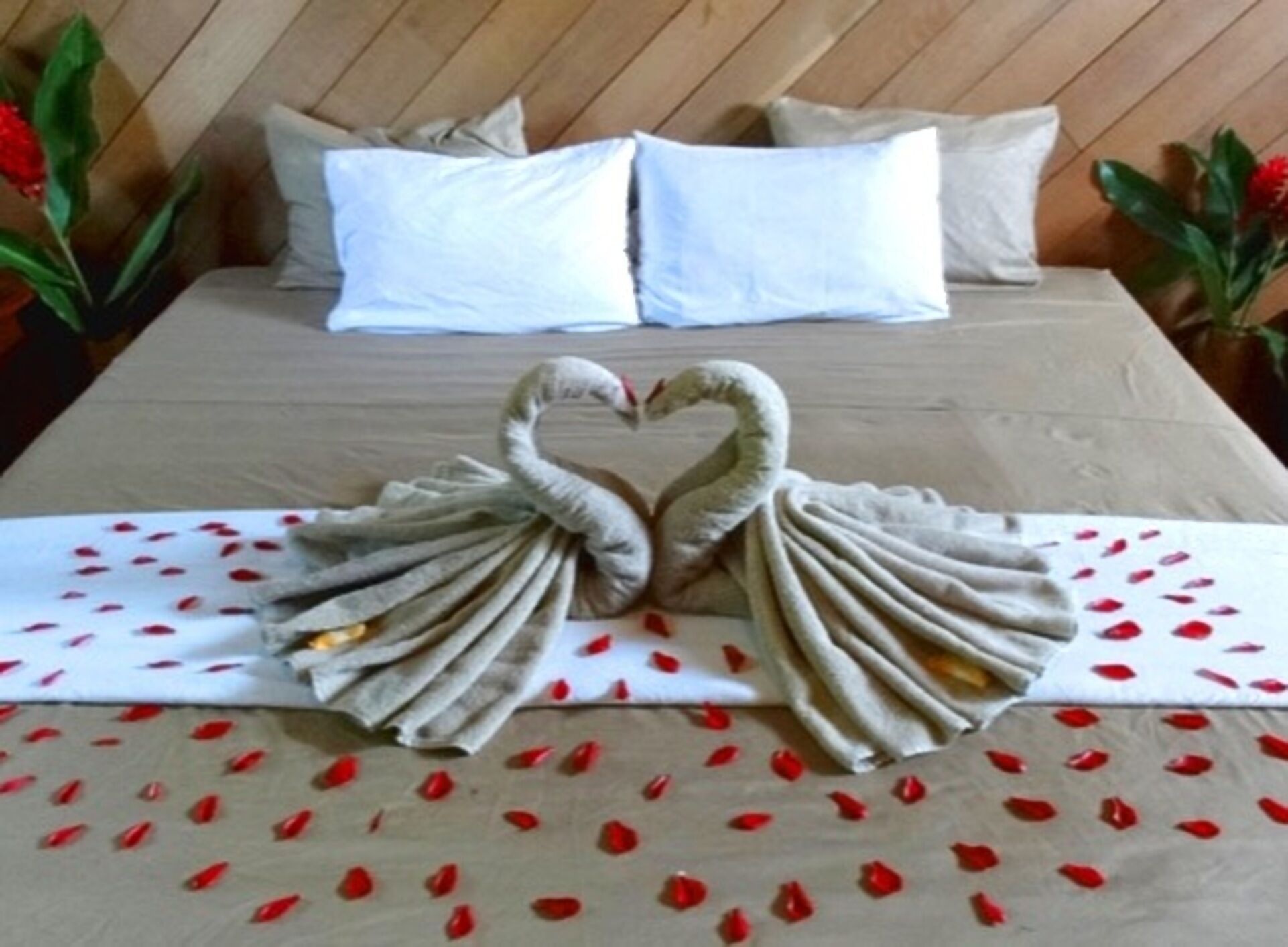 2 chambres, Wi-Fi gratuit, draps fournis