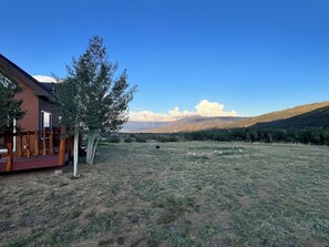 Área da propriedade