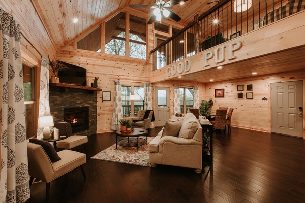 Smart TV, fireplace, video games, DVD player