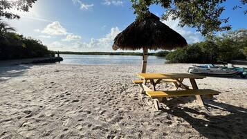 Playa en los alrededores, camastros y toallas de playa