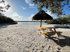 Plage à proximité, chaises longues, serviettes de plage
