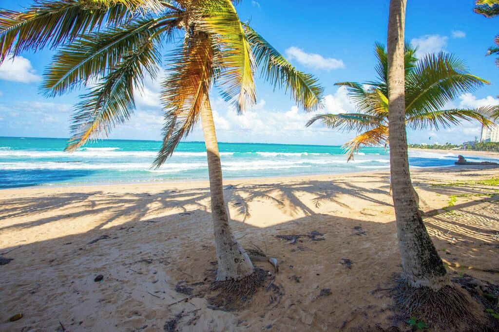 Een strand met palmbomen en de oceaan.