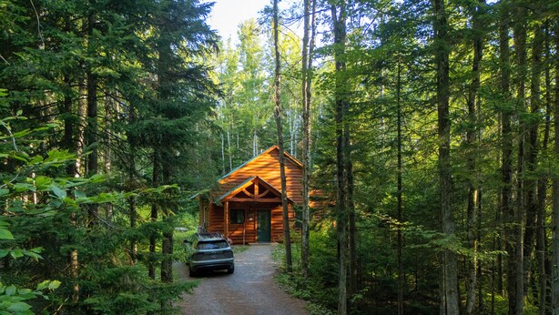 A log cabin with a gravel driveway leading to it, surrounded by dense forest. - Private pet-friendly cabin in the woods w/ private campfire pit & screened porch (Ripton)