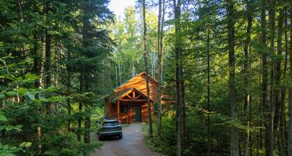 Private pet-friendly cabin in the woods w/ private campfire pit & screened porch
