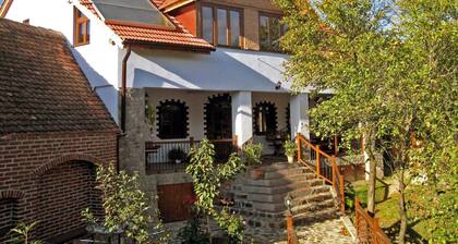 • VILLA CRINA • Transylvania villa for high demands at the Carpathian foothills