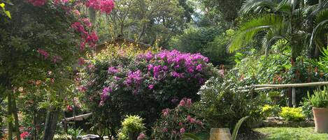 Jardines del alojamiento