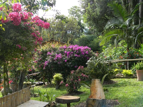 Beautiful Country Studio Minutes Away from Bogota