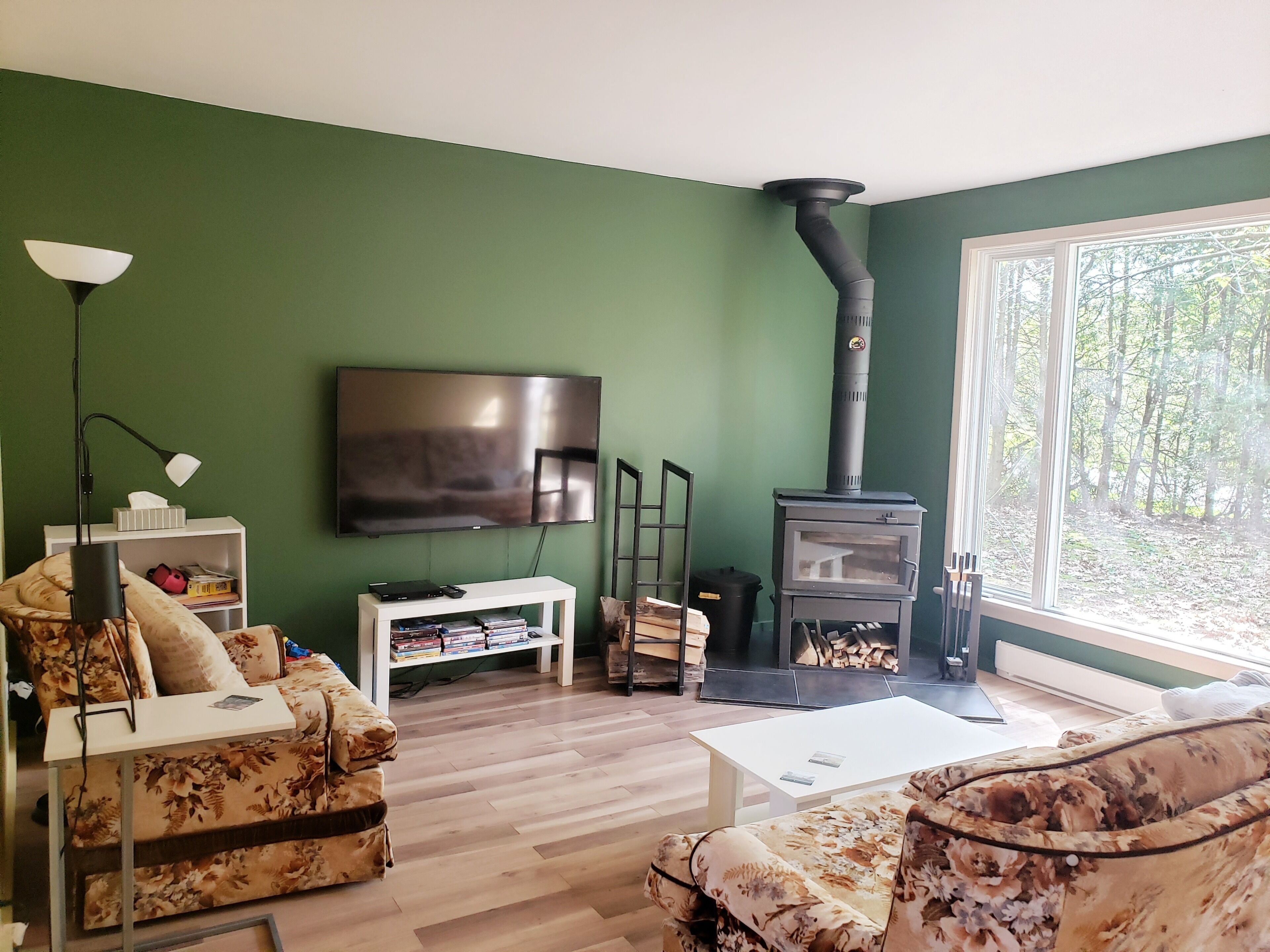 Smart-TV, Kamin, DVD-Player, Videothek