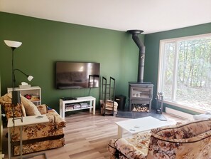 Smart-TV, Kamin, DVD-Player, Videothek
