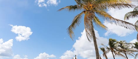 在海滩、沙滩毛巾