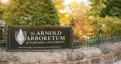 Newly renovated pet friendly apt by parks and train!