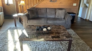 Smart TV, fireplace, DVD player, books