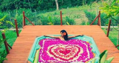 Eagle`s Base Cottage overlooking the Caribbean Sea