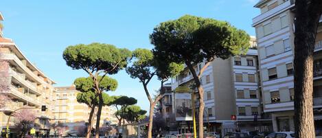 Une rue bordée d’arbres, avec des voitures garées et des immeubles.