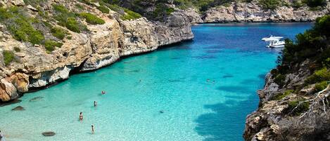 Camastros y toallas de playa