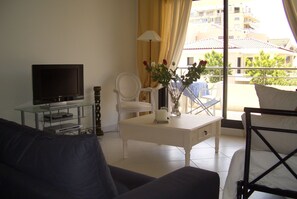 TV, DVD player, books, video library