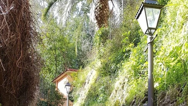 A staircase with stone steps and metal railings, surrounded by greenery and a small building in the background. - Rome-Trastevere. Ideally located. All within walking distance. Internet (Rome)