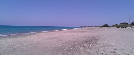 On the beach