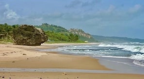 Serviettes de plage