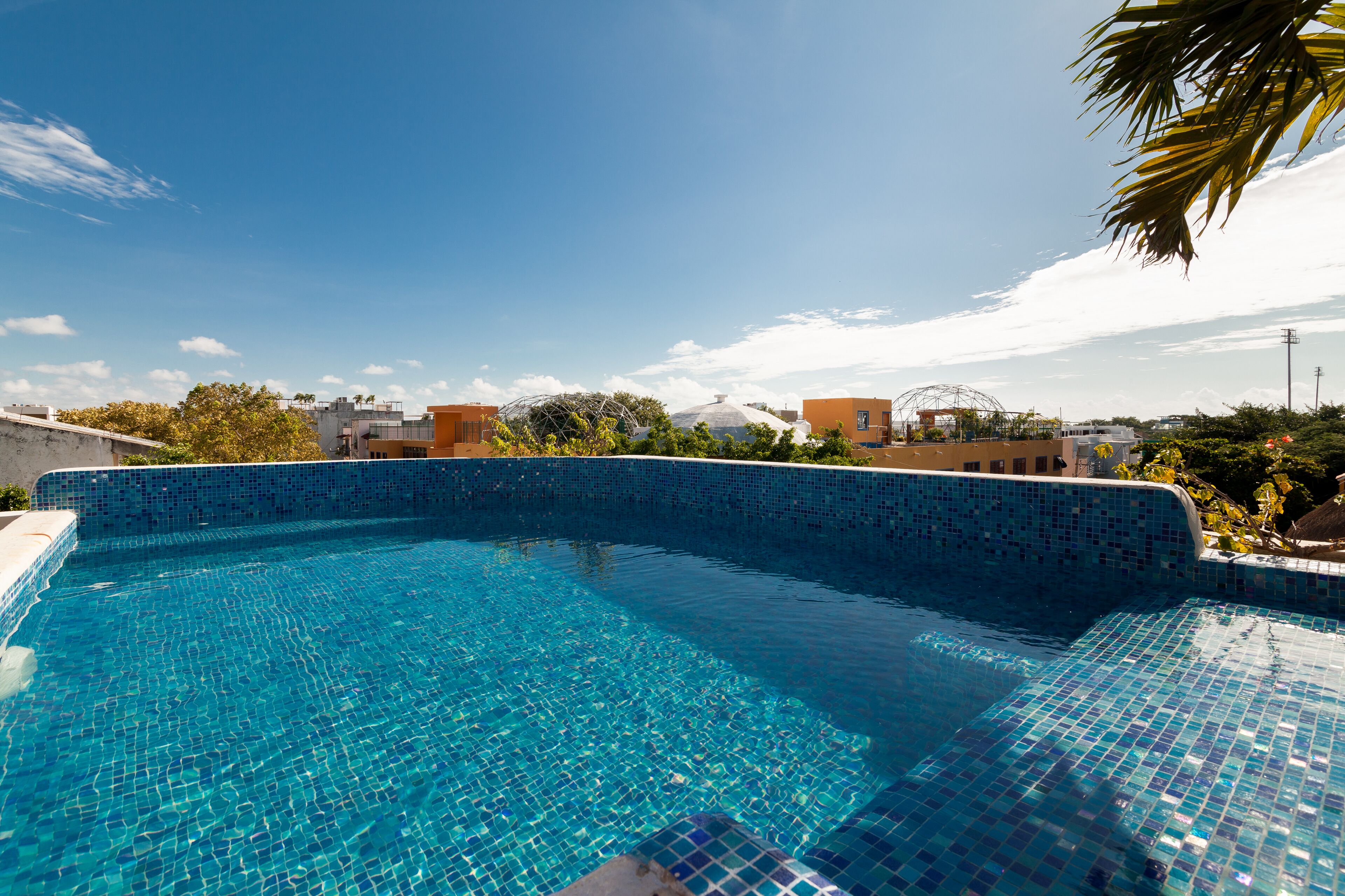 A clear blue pool with mosaic tiles, surrounded by buildings and palm trees.
