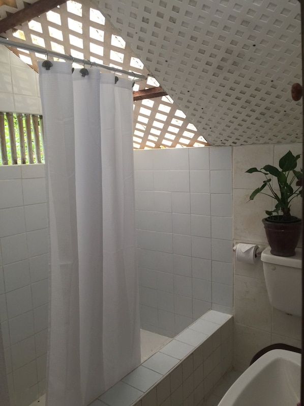 Shower, hair dryer, towels, soap - ECO FRIENDLY QUAINT PALMETTO Studio (Bridgetown)