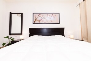 1 bedroom, WiFi - Kingsize 1bdr apartment, common rooftop w/pool, lounge area, BBQ (units 102) (Playa del Carmen)