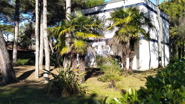 A building with a white exterior and a satellite dish on the roof, surrounded by trees and palm plants. - Villa Chiara 2 - Lignano (Lignano Sabbiadoro)