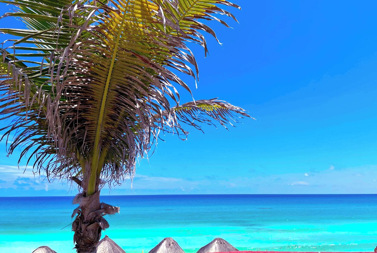 On the beach, sun-loungers
