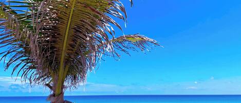 Plage, chaises longues