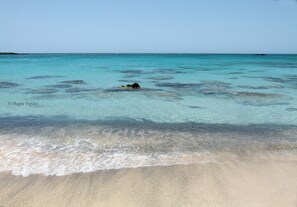 Ein Strand mit klarem, türkisblauem Wasser und einem Sandufer.