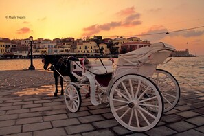 Unclassified image, 5 of 12, button