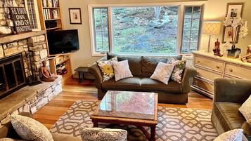 TV, fireplace, DVD player, books