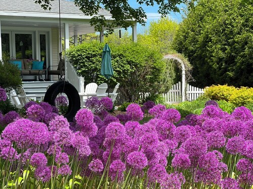 Amazing House, Amazing Garden, Downtown