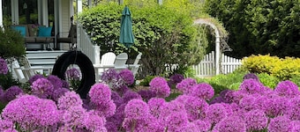 Amazing House, Amazing Garden, Downtown