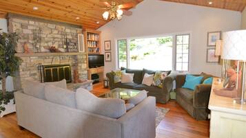 TV, fireplace, DVD player, books