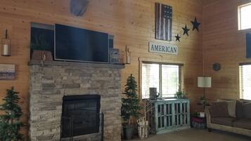 Televisión, chimenea, reproductor de DVD y libros