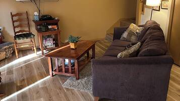 Smart TV, fireplace, DVD player, books