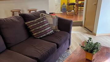 Smart TV, fireplace, DVD player, books