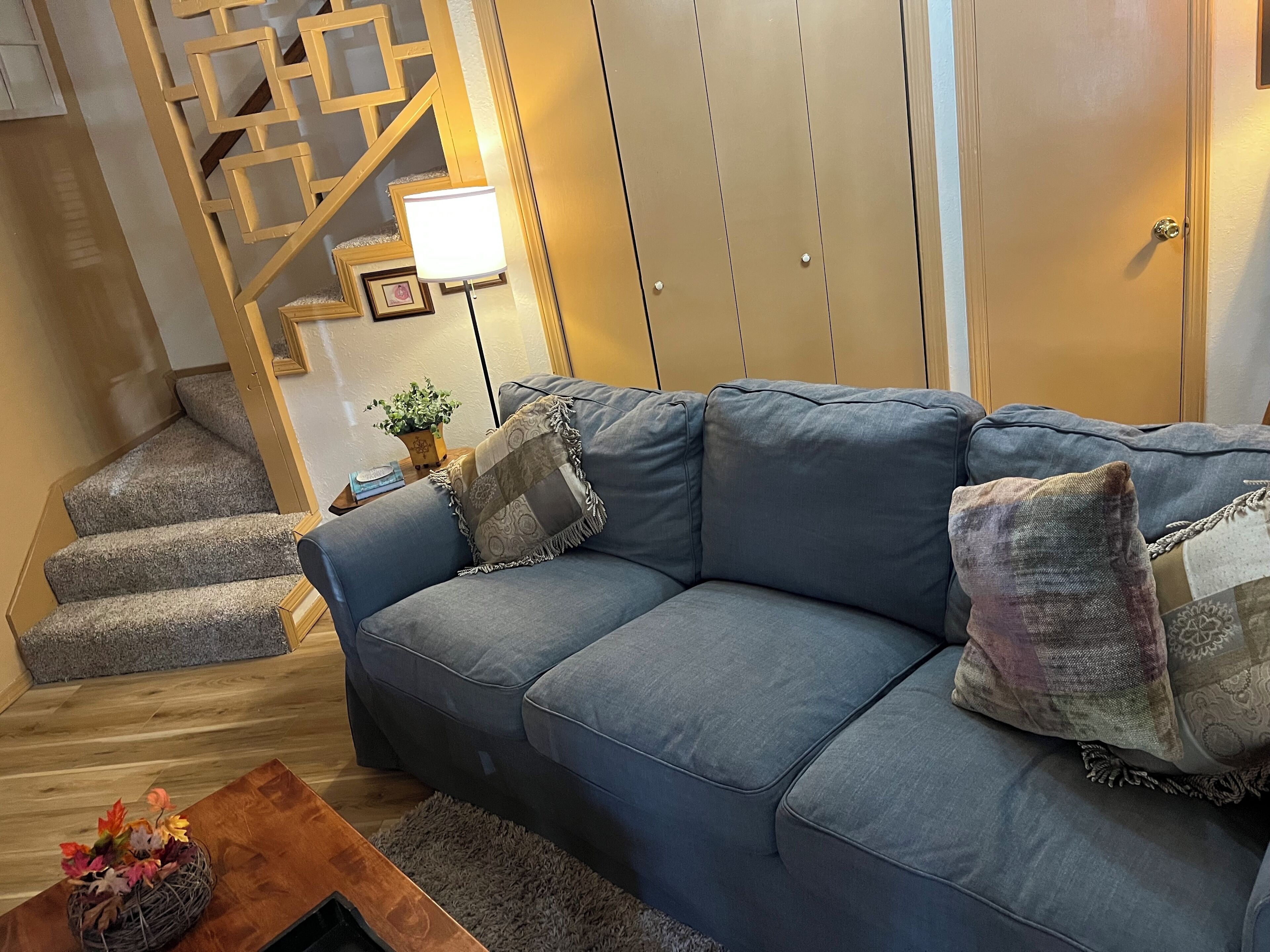 智能电视、壁炉、DVD 播放器、书